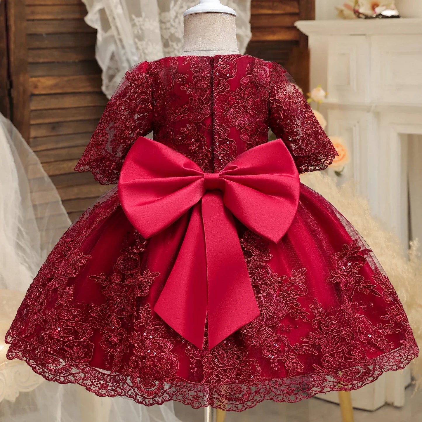 Baby Dress for Long Sleeve Luxury Embroidery Ball