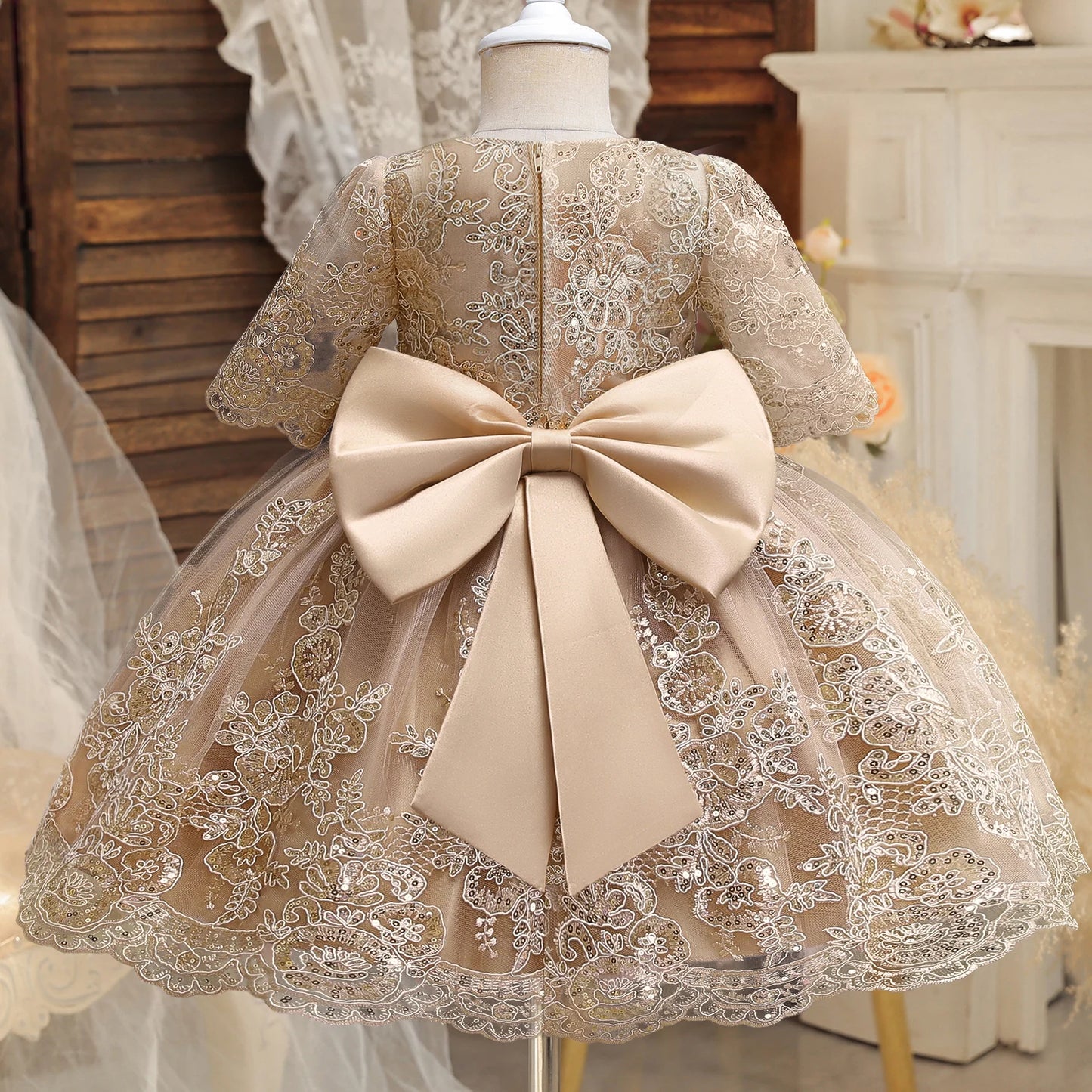 Baby Dress for Long Sleeve Luxury Embroidery Ball