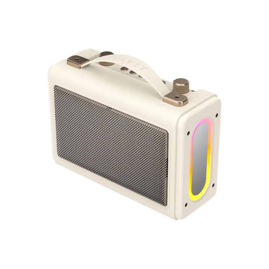Havit SK823BT Wireless Portable Karaoke Speaker